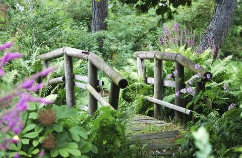 Bridge in a shady park Stockfoto's