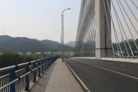 Bridge sidewalk and empty lanes leading past dense cable stays toward green.. Stock Photos