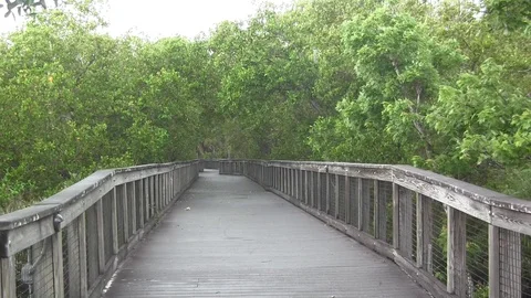 Bridge to Somewhere Stock Footage 88868585