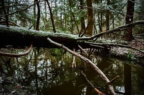 Bridge to Somewhere Stock Photos