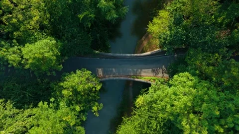 Bridge spanning calm forest river. Narrow crossing over water in lush woodland Stock Footage 320397878