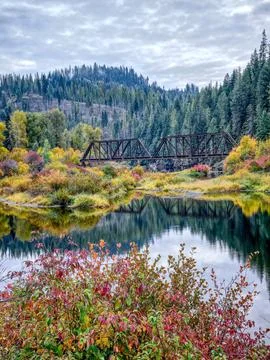 Bridge spans on river in autumn. Stock Photos