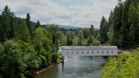 A bridge spans a river with a lush green forest in the background Stock Footage 271584600