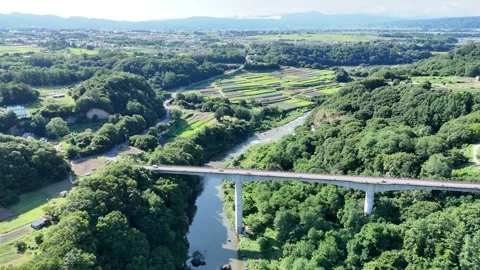 Bridge spans river through lush green valley Stockbeeldmateriaal 340906352