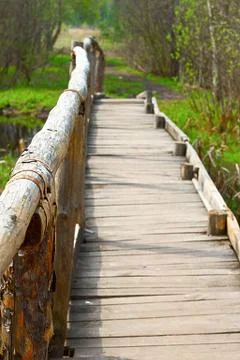 Bridge in a spring forest Stock Photos