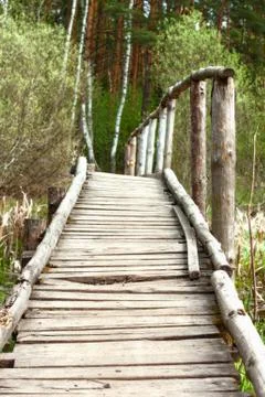 Bridge in a spring forest Stock Photos