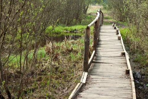 Bridge in a spring forest Stock Photos