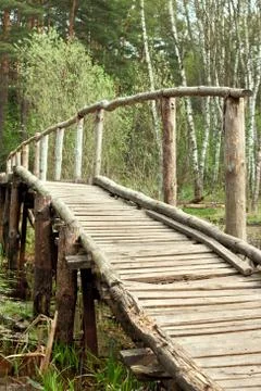 Bridge in a spring forest Stock Photos