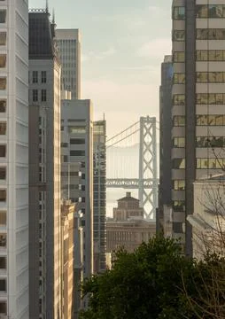 Bridge Stands Between Blocks in San Francisco 写真素材