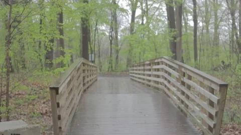 Bridge - Stock Footage 2 Stock Footage 159614906