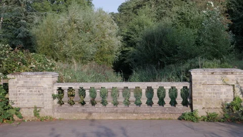 Bridge stretching over one of the ponds and natural springs at Holywells Park Stock Footage 139315282