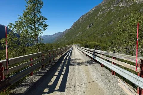 Bridge in summer. Stock Photos