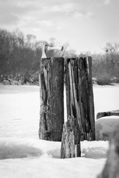 Bridge support Stock Photos