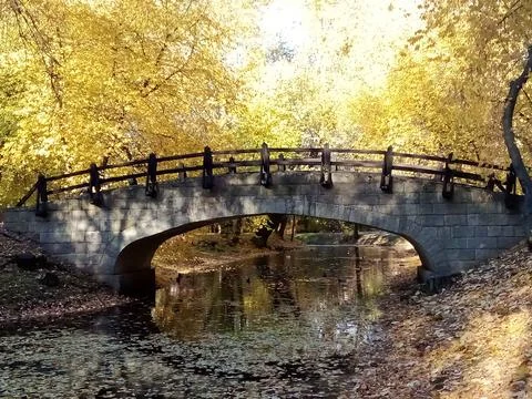 Bridge Surrounded By Autumn Stock Photos