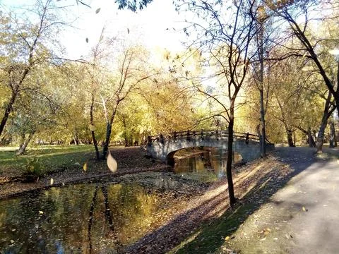 Bridge surrounded by autumn Stock-Fotos