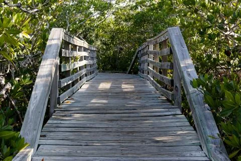 Bridge Through Mangroves Stock Photos