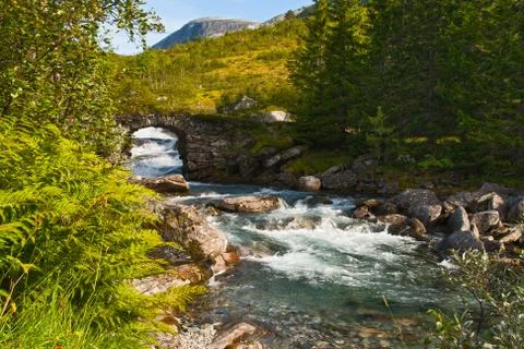 The bridge through the mountain river Stock Photos