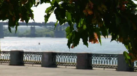 Bridge through river Video stock 10911980