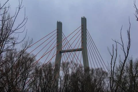 Bridge tower amidst bare trees under a cloudy sky on a winter day Stock Photos