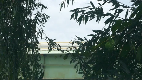 Bridge With Traffic Behind The Trees Stock Footage 95964117