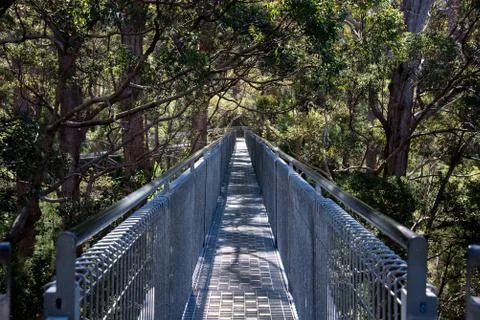 A bridge in a Tree Top Walk in the Valley of the Giants Stock Photos