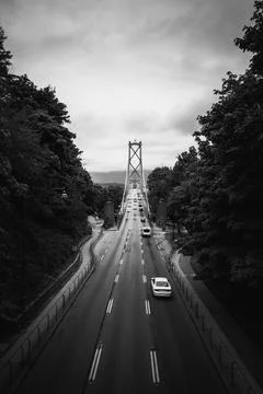 Bridge in trees on a cloudy day Stock Photos