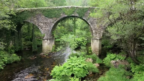 Bridge With Vegetation Over Sor River In Manon. dolly-in shot Stockbeeldmateriaal 283656887