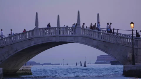 Bridge in venice 動画素材 161081725