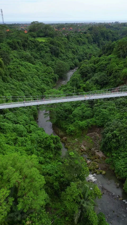 Bridge vertical shot drone Stock Footage 240003637