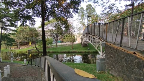 Bridge video Stock Footage 205683466