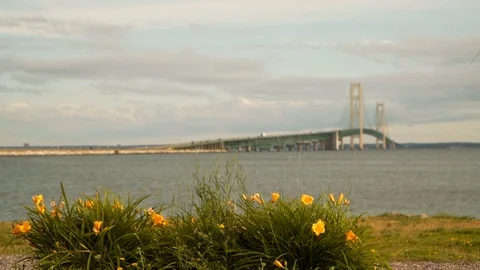 Bridge view Video stock 112860352