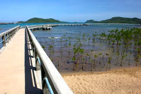 Bridge view. Stock Photos