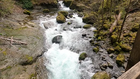 Bridge view of a rushing creek 4K Stock Footage 294119696