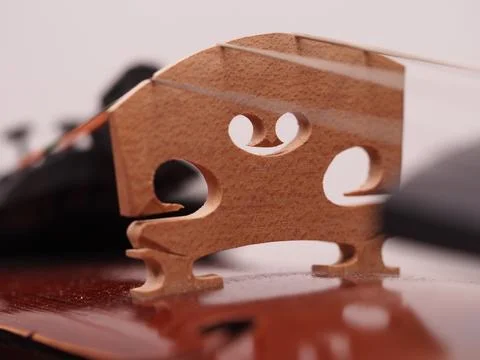 Bridge on a violin Stock Photos