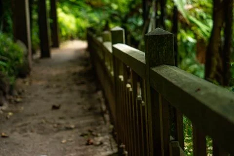 Bridge walk Foto stock