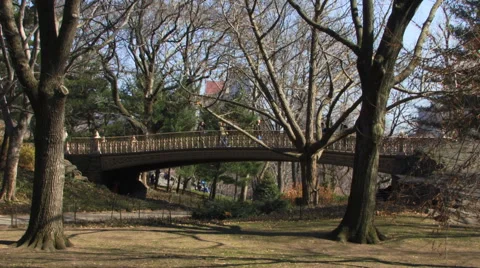Bridge Walking at Central Park HD Stock Footage 40713481
