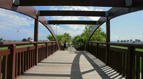Bridge, walkway, sky, clouds and palm trees. Stock Footage 49825210