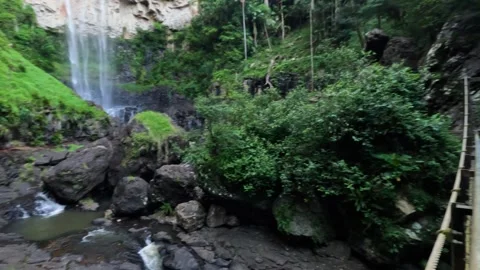 Bridge to Waterfall in Springbrook Stock Footage 298137036