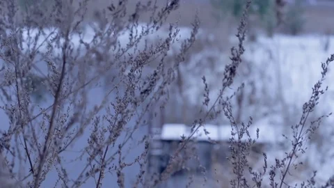 Bridge in winter Stock Footage 71158449