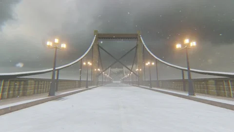 Bridge in the winter Stock Footage 248898354