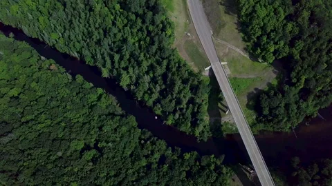 A bridge in the woods Stock Footage 144790916