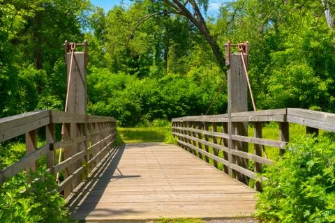 A Bridge to the Woods Stock Photos