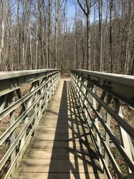 Bridge in the Woods Foto stock