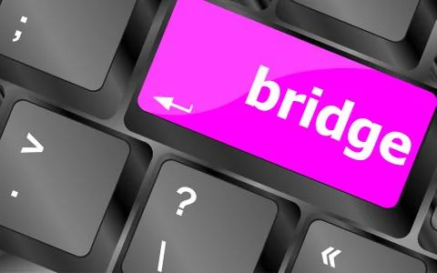 Bridge word on computer keyboard key button Stock Illustration
