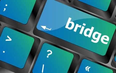 Bridge word on computer keyboard key button Stock Illustration