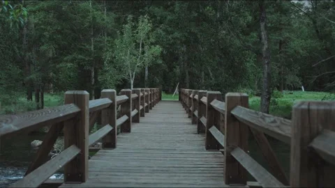 Bridge in Yosemite Valley Stock Footage 219955041
