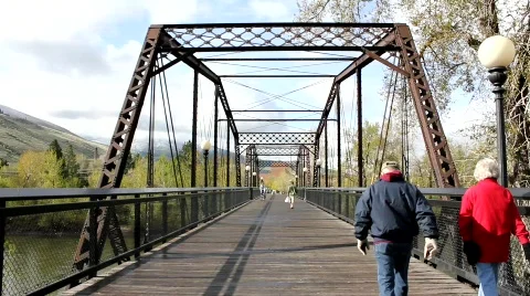 Bridge2 Video stock 755091