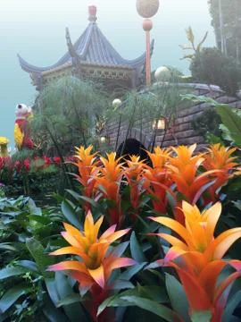 BridgeGarden Stock Photos