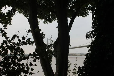 Bridgehumber 库存照片