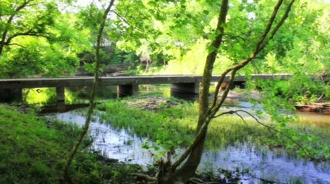 BridgeOzarkCreek Stock Footage 809844